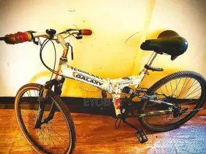 Foldable Aluminum Mountain Bike