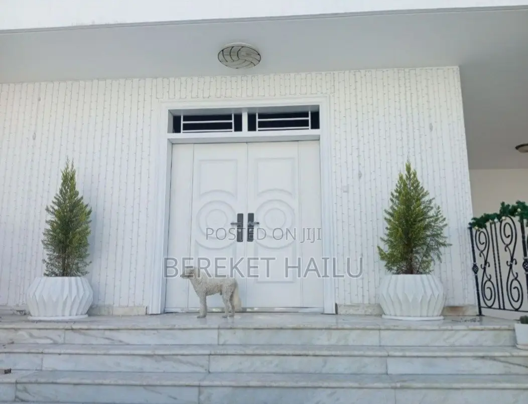 ለቤትዎ ፍጹም ሰላምና ደህንነት የሚሰጡ ዘመናዊ የብረት በሮች!