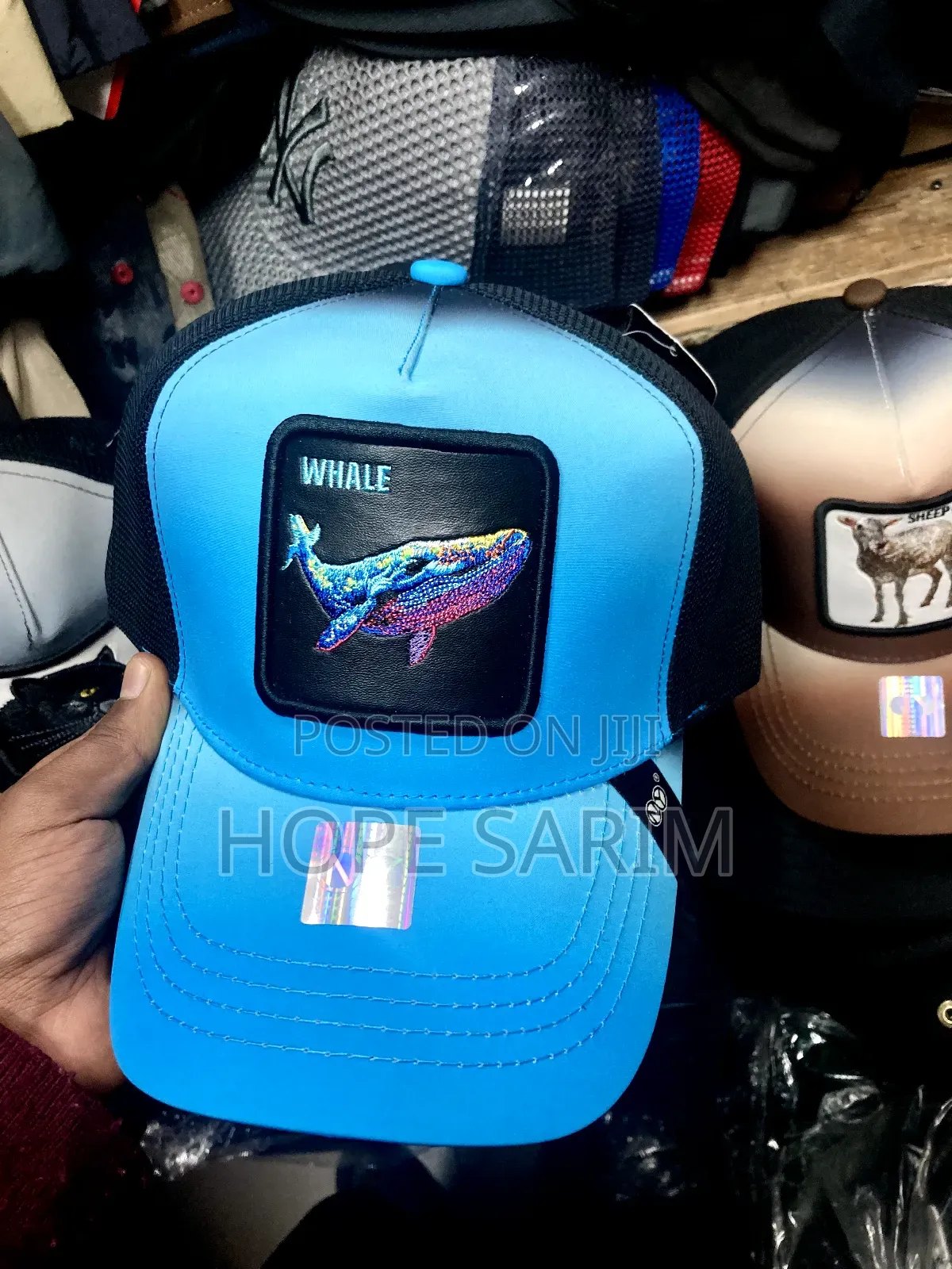 በብዛት Color Hates