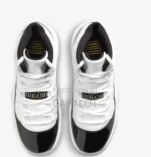 Air Jordan 11 “Concord” – Black White Icon