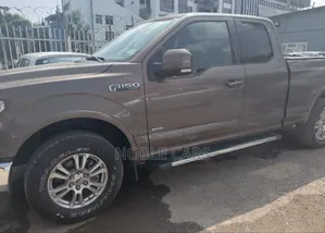Ford F-150 2016 Brown