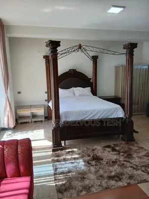 Furnished 1bdrm Apartment in Bole for rent