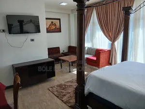 Furnished 1bdrm Apartment in Bole for rent