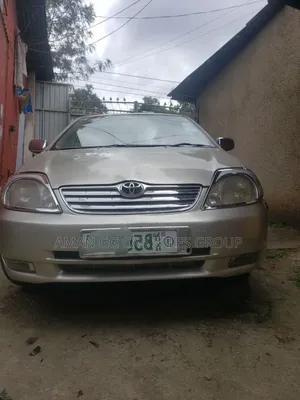 Toyota Corolla 2002 Gray