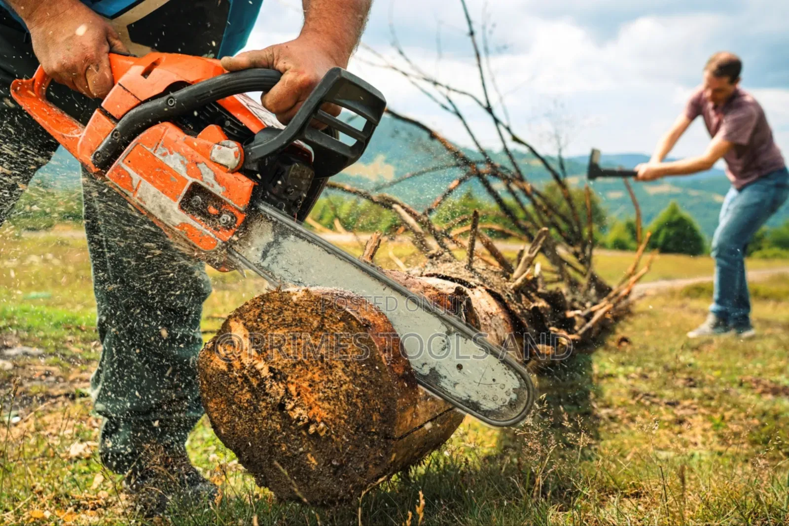 Stihl Chainsaw – Powerful, Durable Professional Wood Cutting Tool