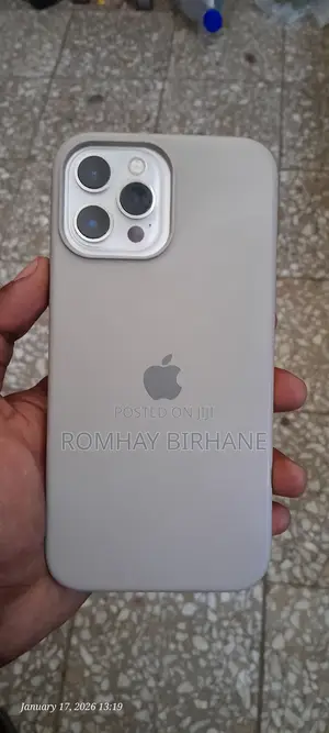 Apple iPhone 12 Pro Max 256 GB Silver