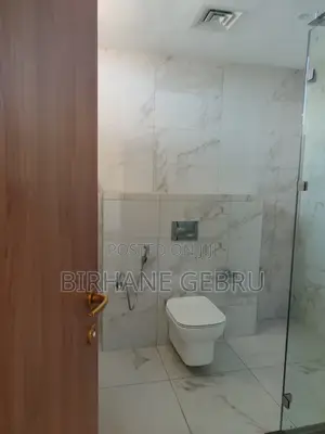 6bdrm Penthouse in Luxury Penta House, Lideta for rent