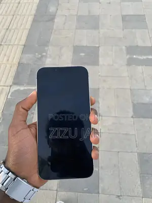 Apple iPhone 13 Pro Max 256 GB Gold