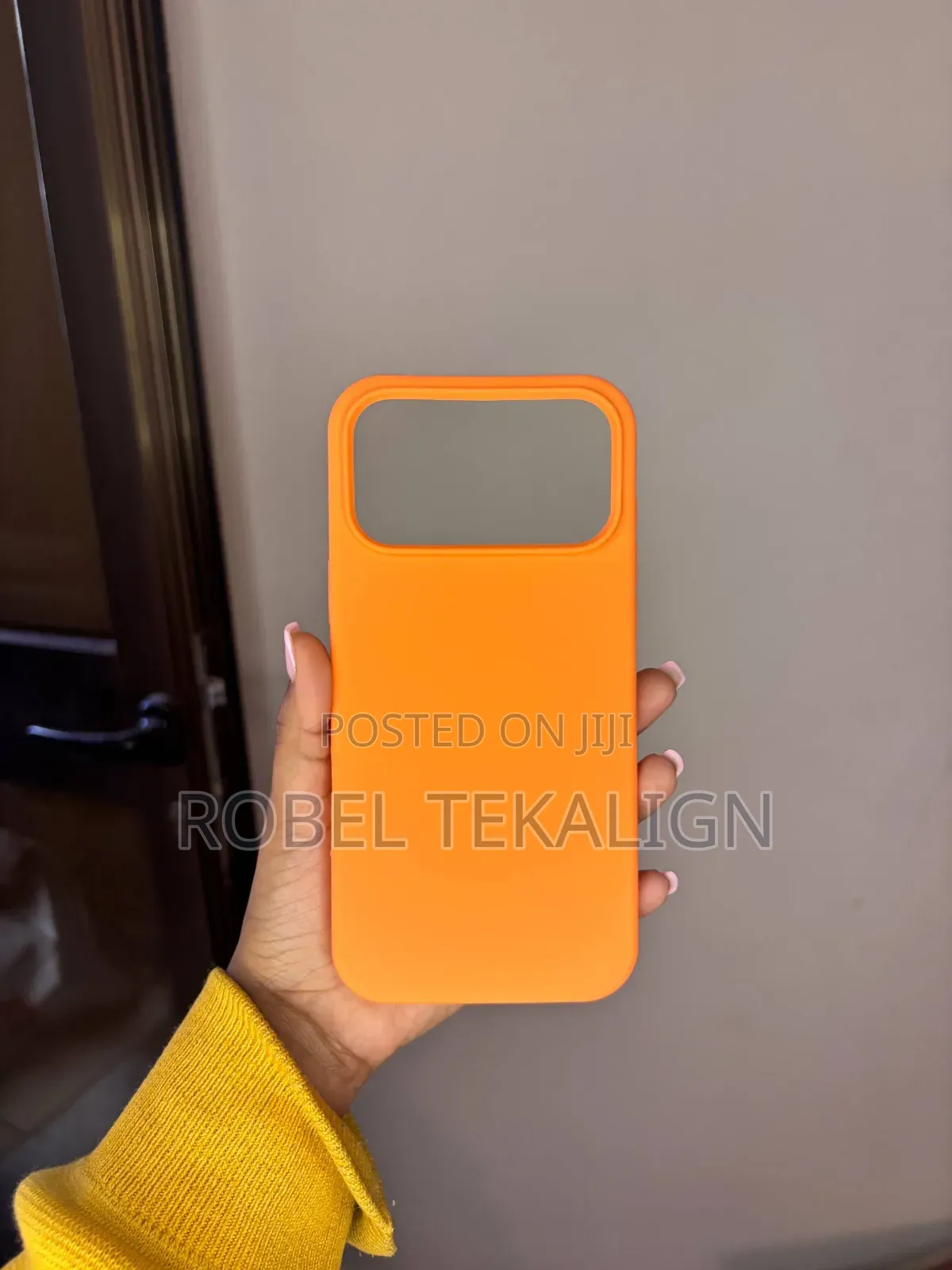 iPhone 17 Pro Max Cover