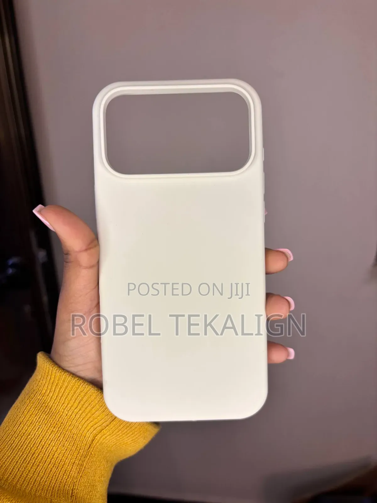 iPhone 17 Pro Max Cover