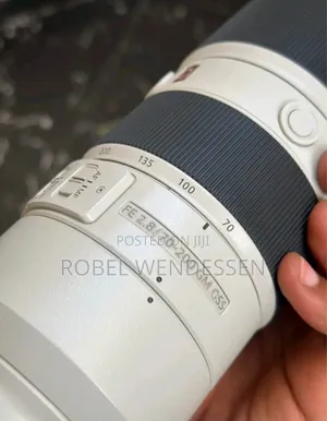 Sony 70-200mm F/2.8 G Lens .