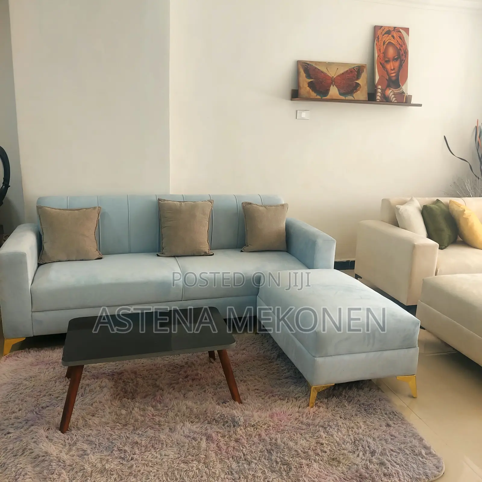Amazing Finishing Living Room Mini L Shape Sofa