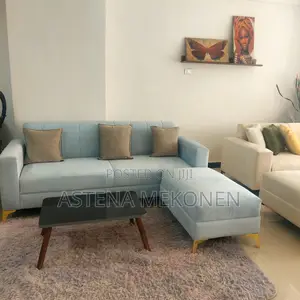 Amazing Finishing Living Room Mini L Shape Sofa