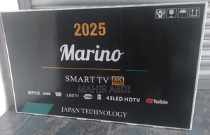 FLX 43 Inch Smart Tv