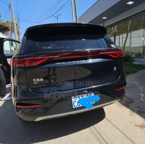 BYD Tang DM-i 2024 Black