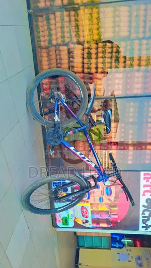 Luta Bicycle