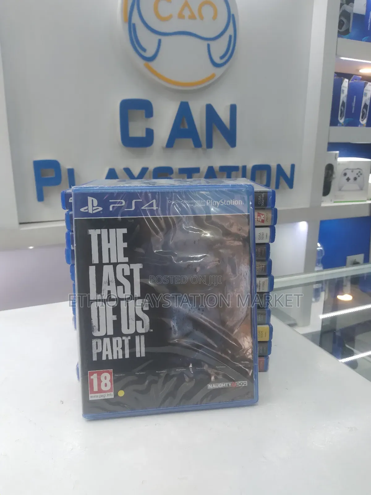 The Last of Us Game