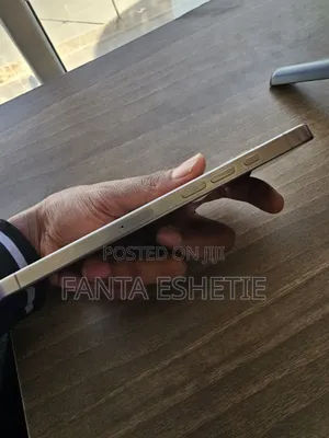 New Apple iPhone 16 Pro Max 256 GB Silver