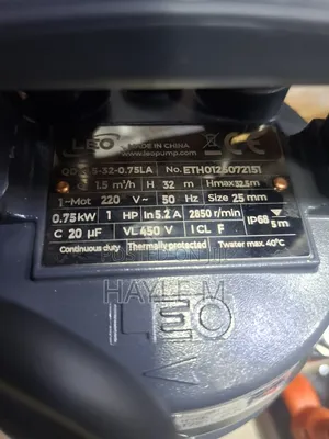 Leo Submersuble Pump