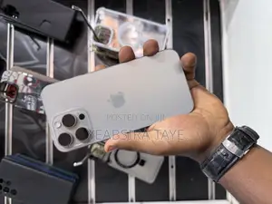 Apple iPhone 15 Pro Max 256 GB Silver