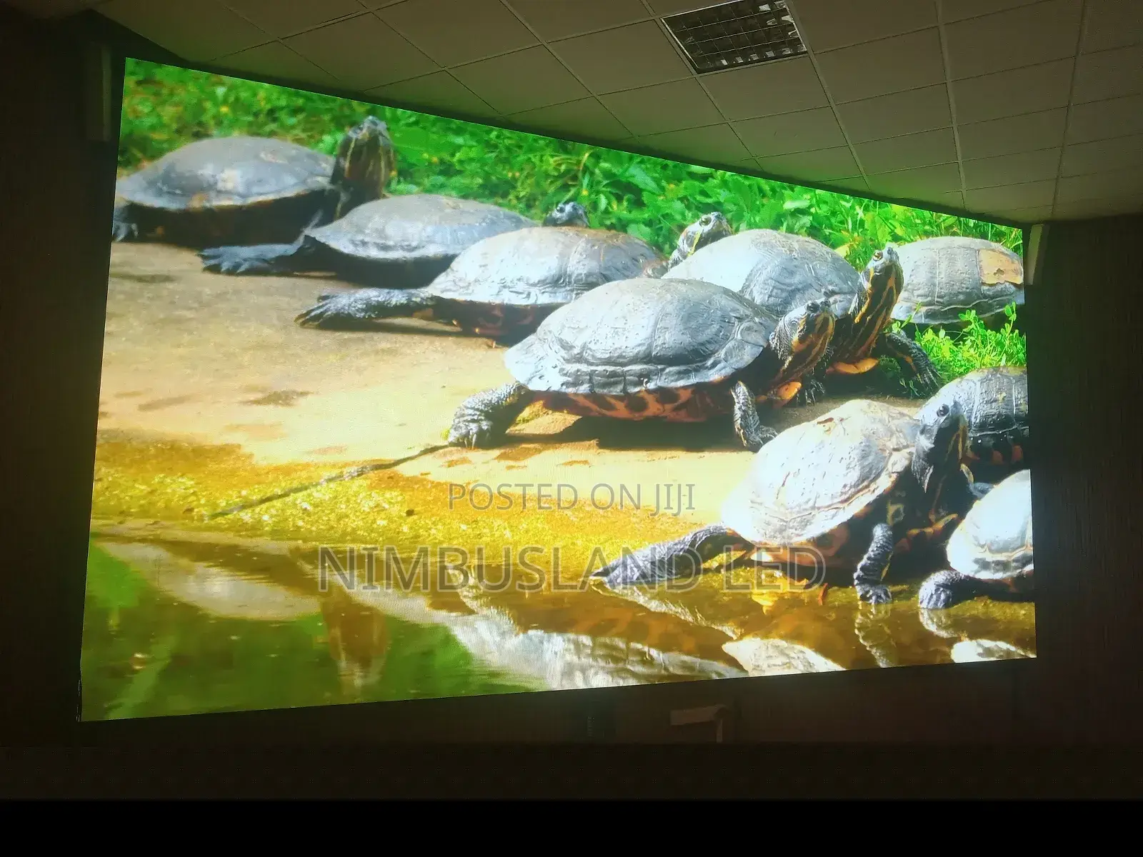 Led Screen P2.5