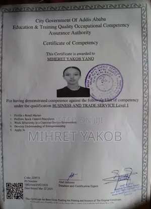 Gt Motors Import Welcome to Our Team