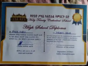 Gt Motors Import Welcome to Our Team