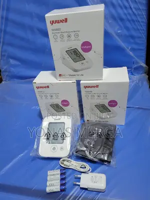 Blood Pressure Monitor飆鄒display: LCD Digital Screen(Time Date Display)