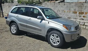 Toyota RAV4 2002 Gray