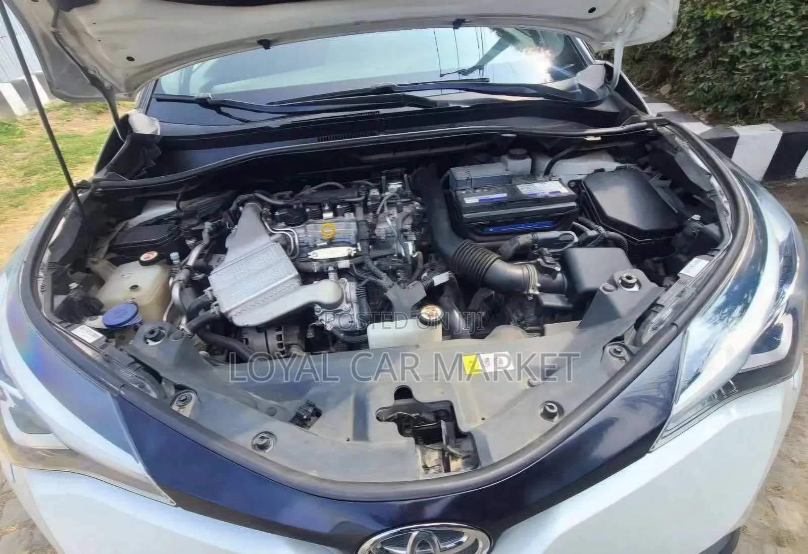 Toyota C-HR 2022 White