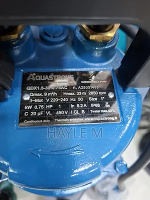 Aquastrong Submersible Pump