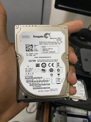 Seagate Momentus 7200.4 – 250gb