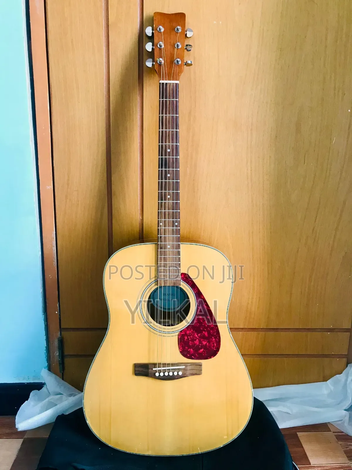 Ibanez Acoustic Guitar