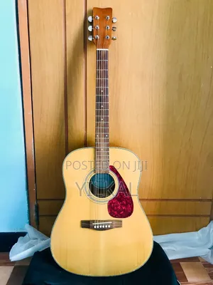Ibanez Acoustic Guitar