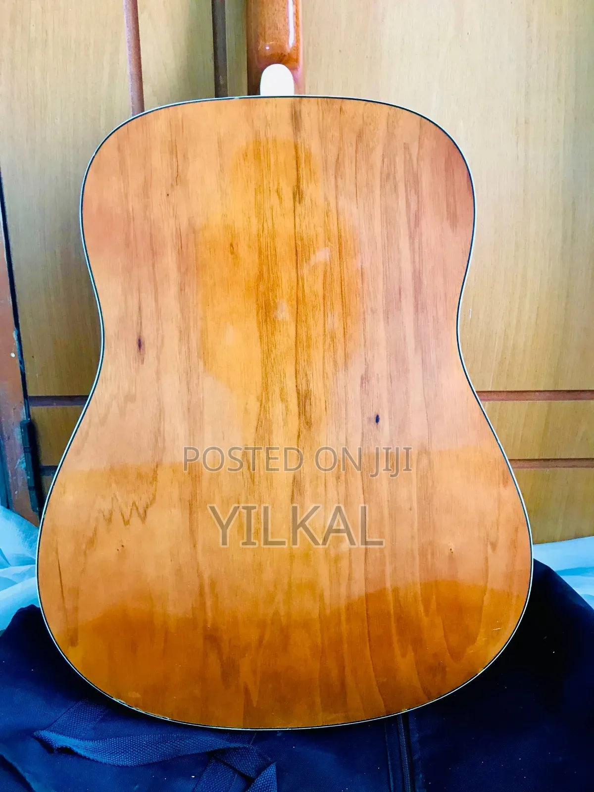 Ibanez Acoustic Guitar