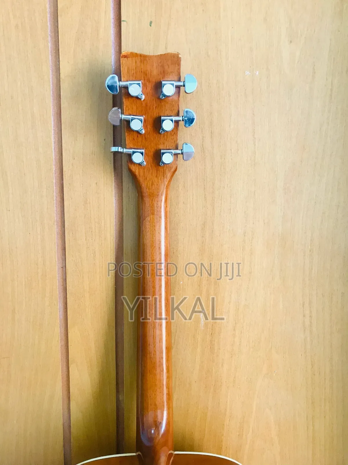 Ibanez Acoustic Guitar