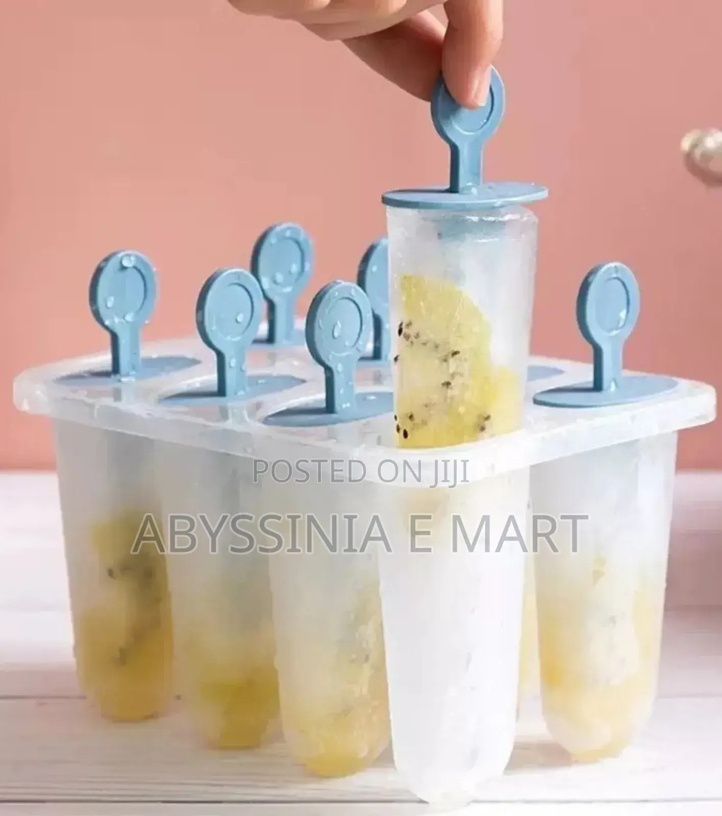 Ice Pop Making Moulds