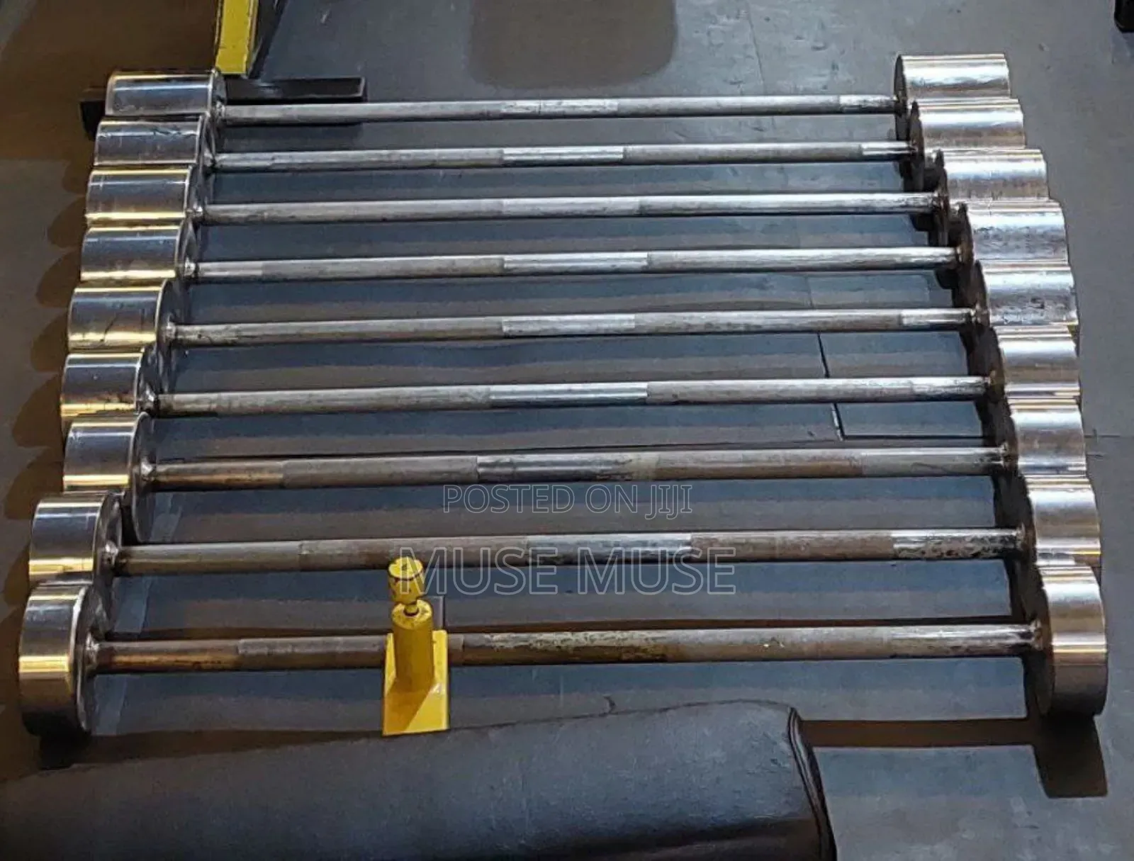 ማንኛውን የጂም መገልገያ ከኛ ጋር ያገኛሉ