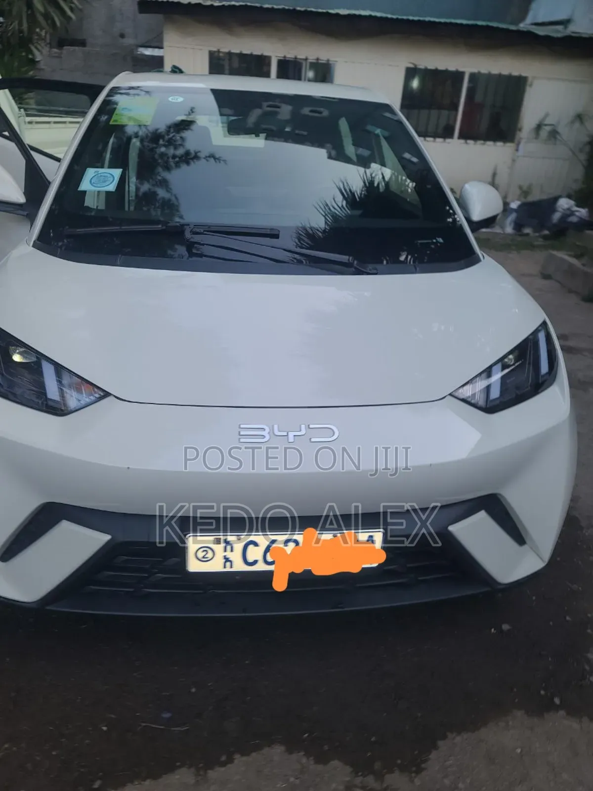 BYD Seagull 38 kWh FWD 2024 Ivory