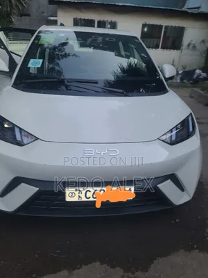 BYD Seagull 38 kWh FWD 2024 Ivory