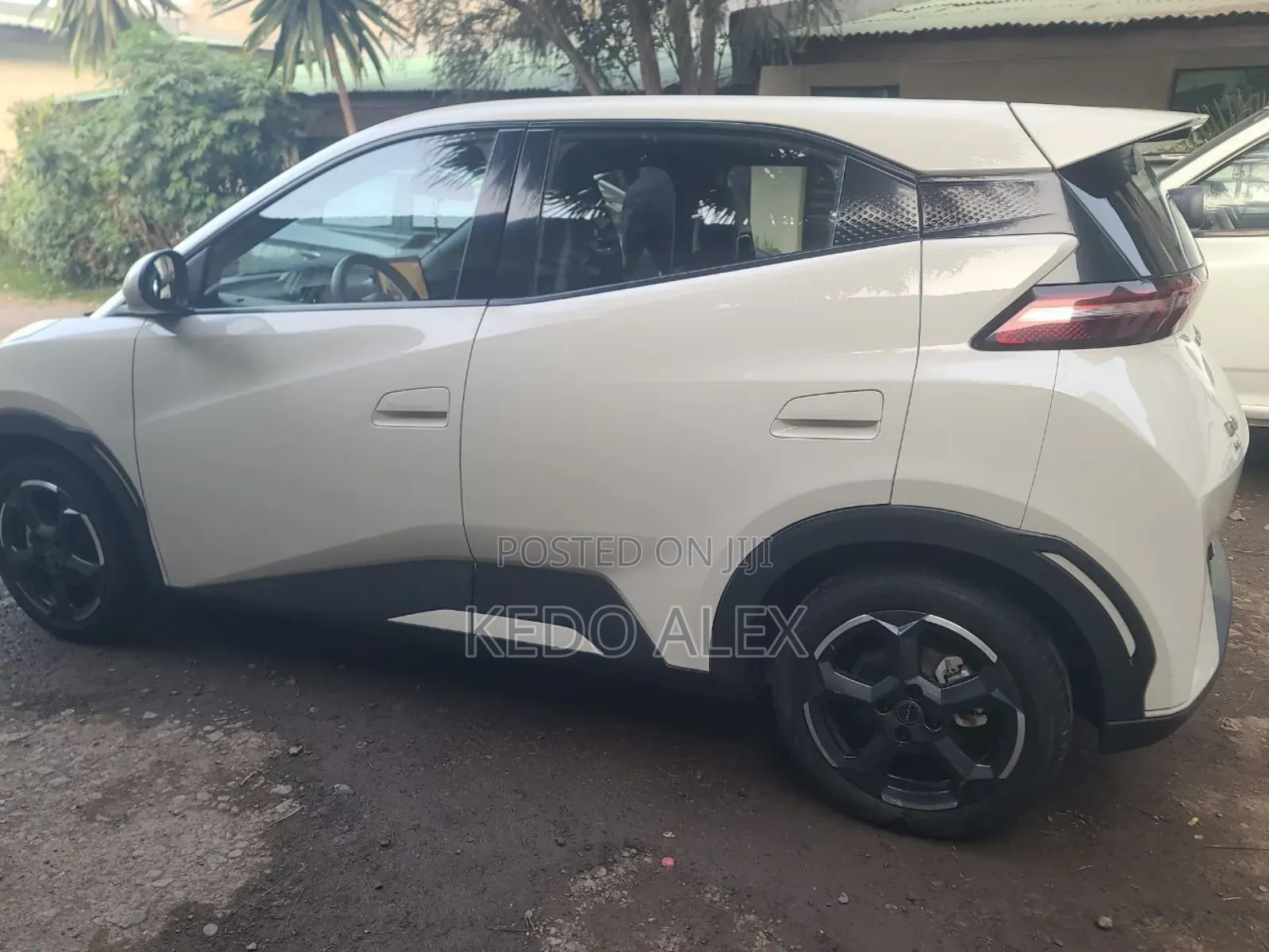 BYD Seagull 38 kWh FWD 2024 Ivory