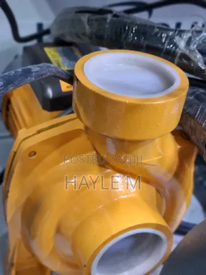 Ingco Surface Water Pump