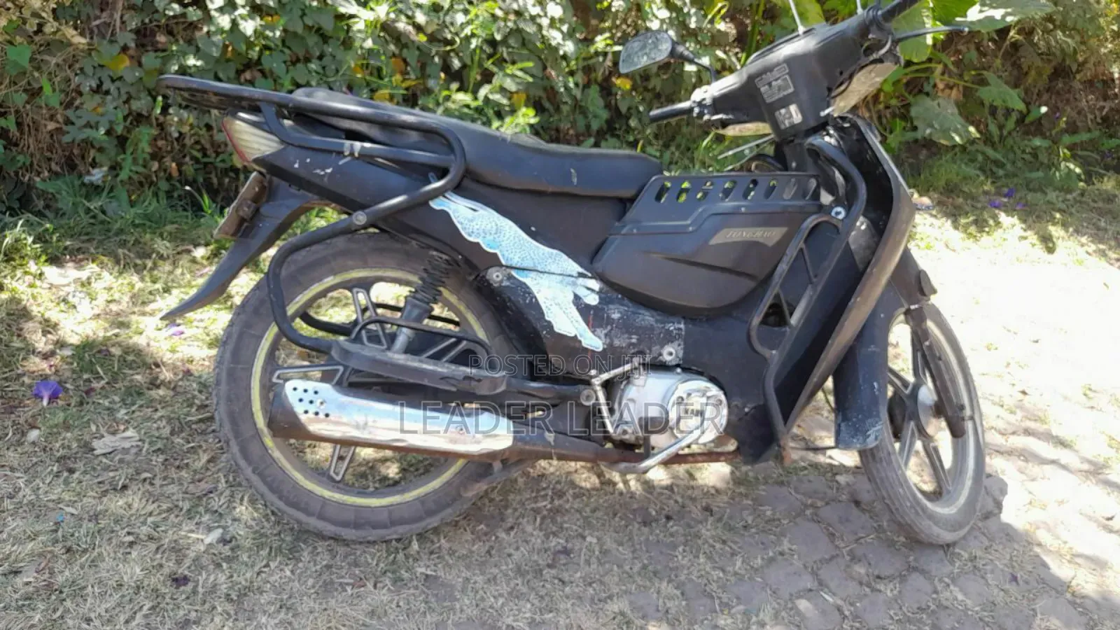 Apsonic AP110 2021 Black