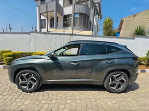 Hyundai Tucson Limited 2021 Gray