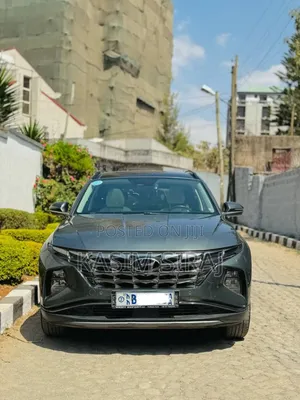 Hyundai Tucson Limited 2021 Gray