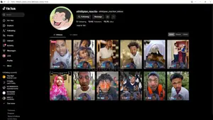 Two Tiktok Accounts for Sale