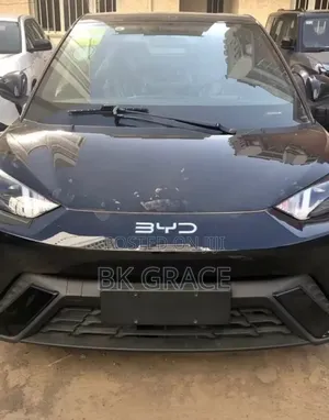 New BYD Seagull 38 kWh FWD 2024 Black