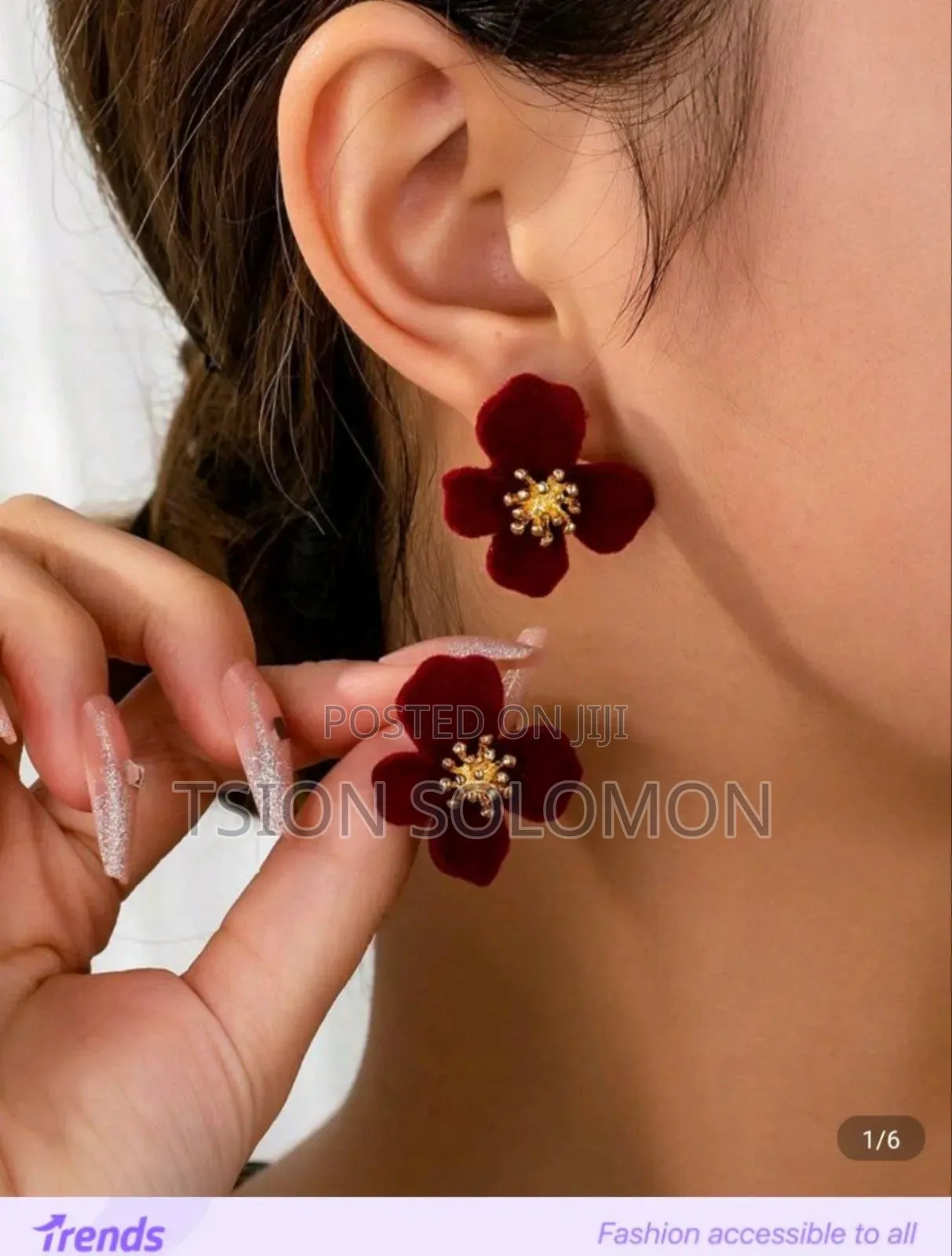 Elegant Earrings