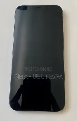 Apple iPhone 12 Pro Max 128 GB Gray