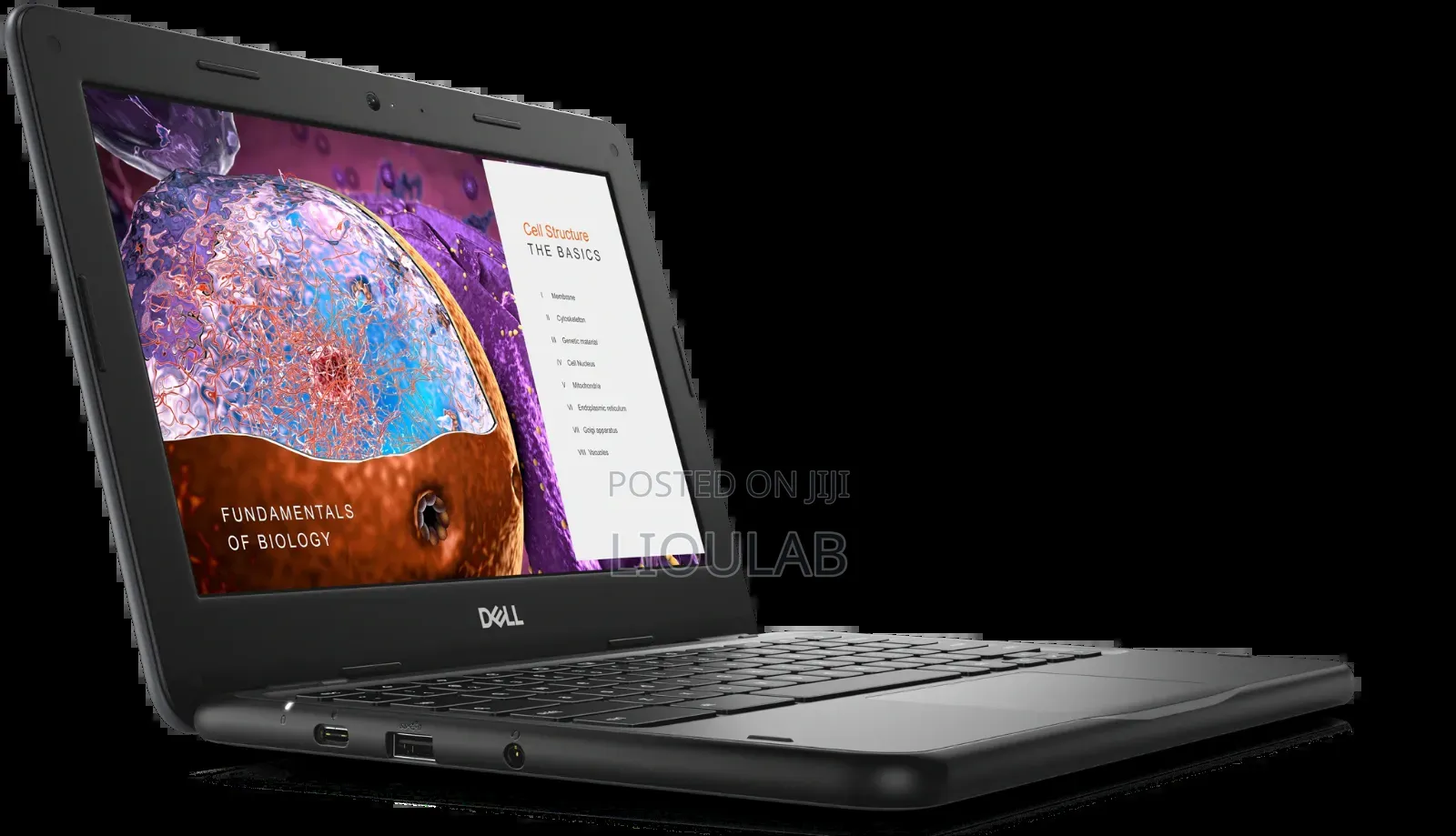 New Laptop Dell Chromebook 11 4GB SSD 32GB